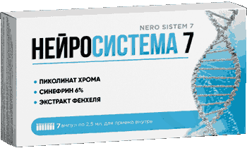 Нейросистема 7