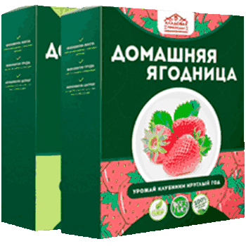 Домашняя ягодница