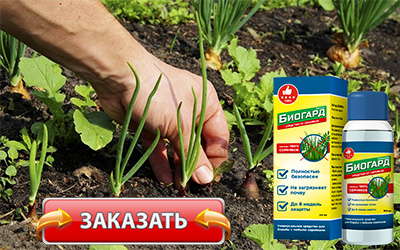 Биогард купить в магазине