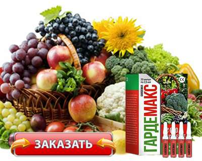 Заказать Гардемакс на официальном сайте.