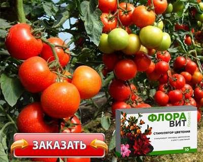 Заказать Флоравит на официальном сайте.