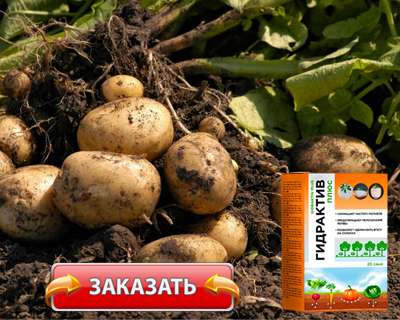 Гидрогель Гидрактив Плюс купить по доступной цене.